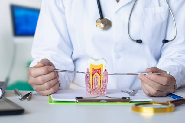 Best Pediatric Emergency Dentist in Grabill, IN